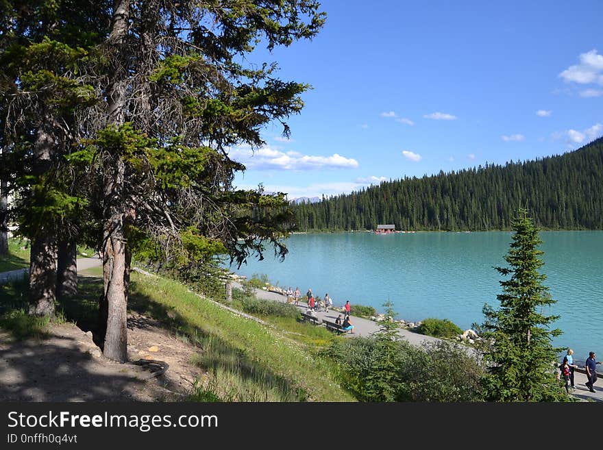 Lake, Nature, Body Of Water, Wilderness