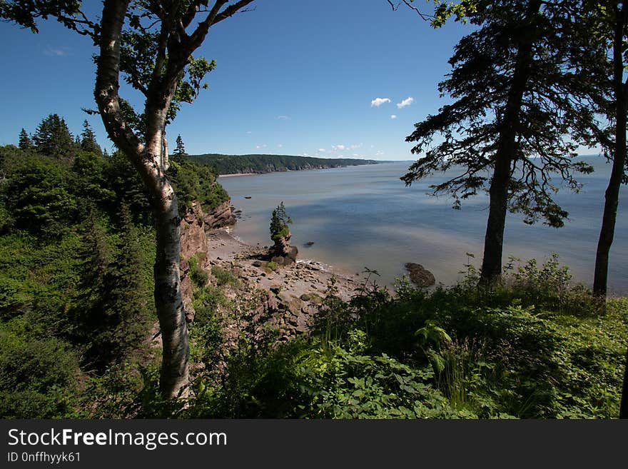 Nature Reserve, Vegetation, Wilderness, Sky