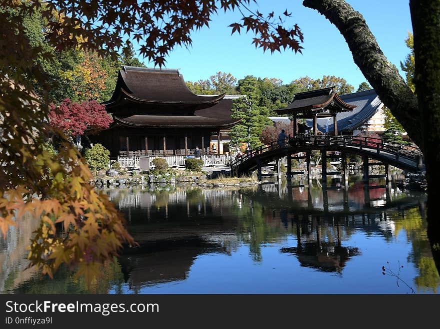 Chinese Architecture, Reflection, Plant, Waterway