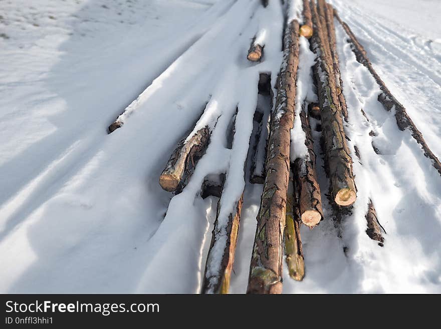 Snow, Winter, Tree, Freezing