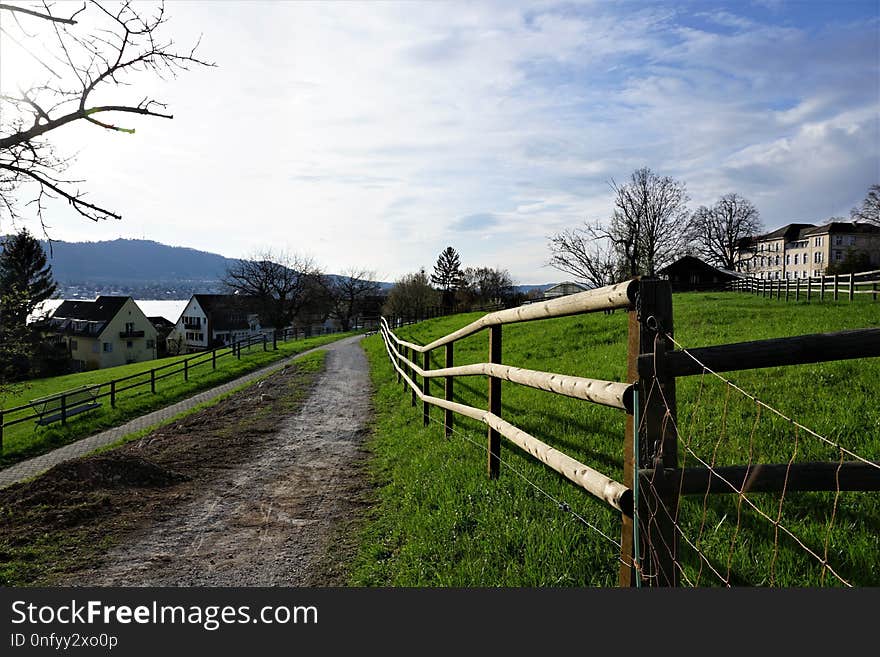 Sky, Tree, Pasture, Woody Plant