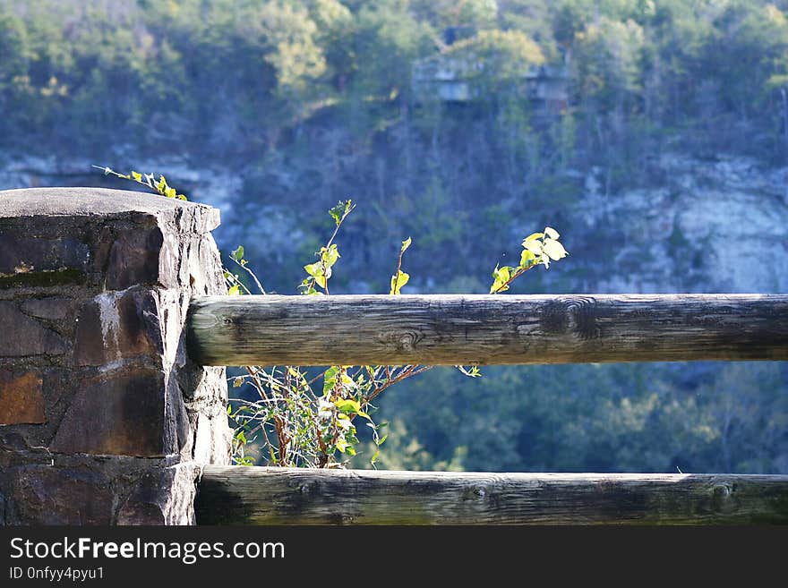 Water, Nature, Tree, Nature Reserve