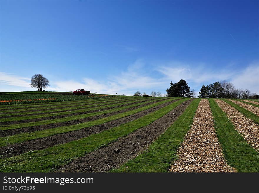 Sky, Field, Farm, Cloud