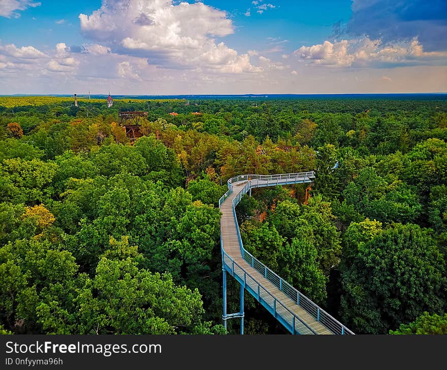 Nature, Sky, Leaf, Vegetation