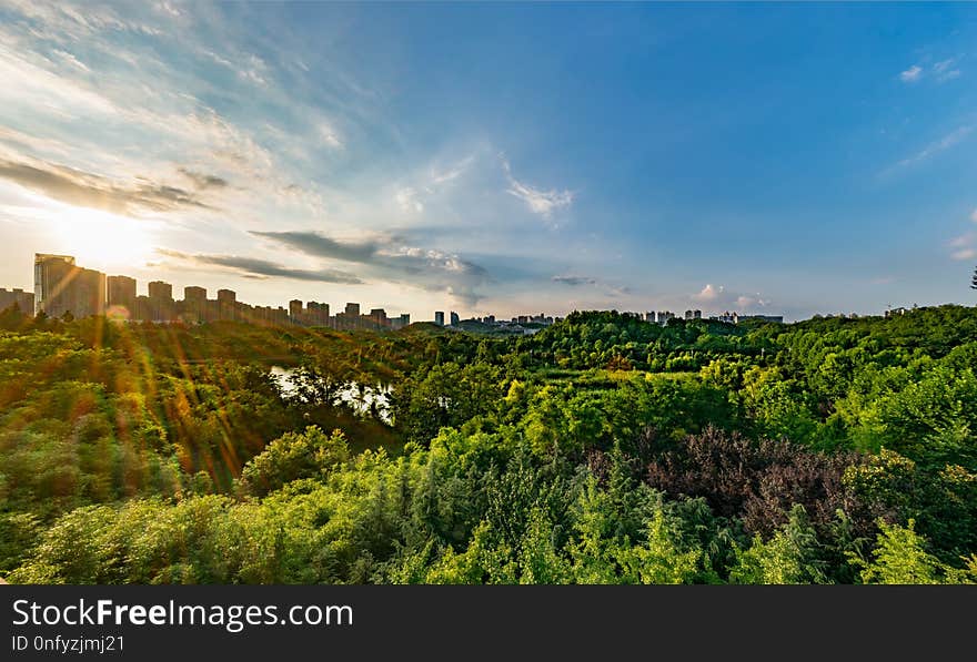 Sky, Nature, Vegetation, Cloud