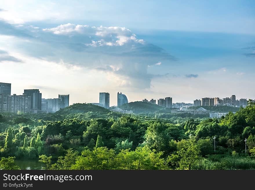 Skyline, City, Metropolitan Area, Sky