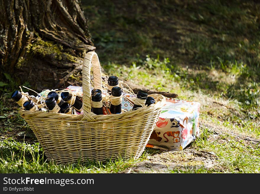 Picnic, Grass, Plant, Tree