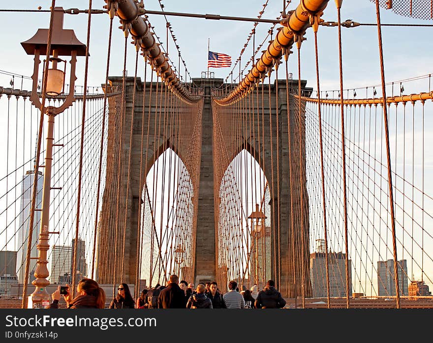 Bridge, Suspension Bridge, Cable Stayed Bridge, Building