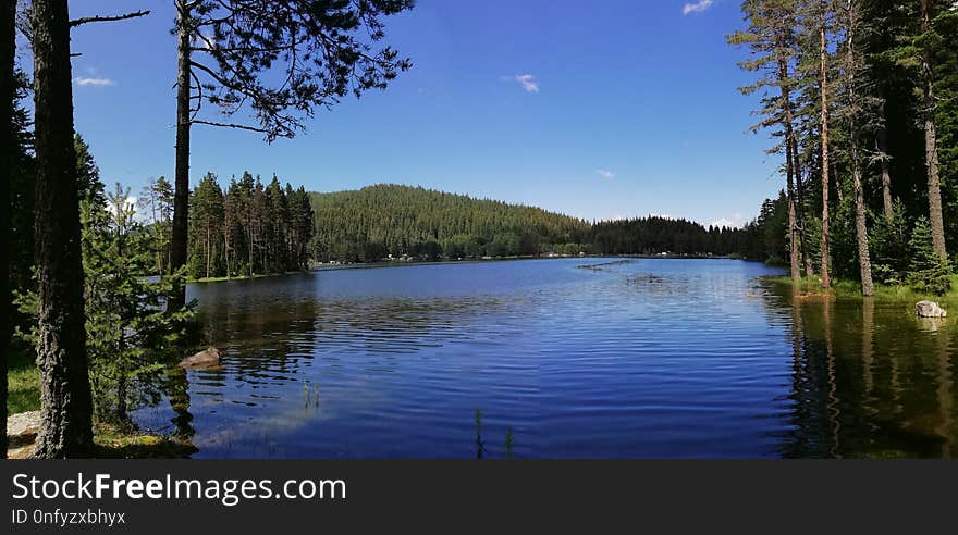 Lake, Nature, Wilderness, Body Of Water