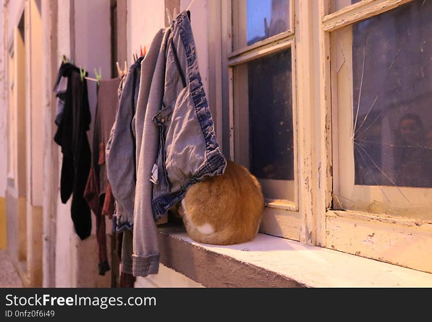 Window, Boutique