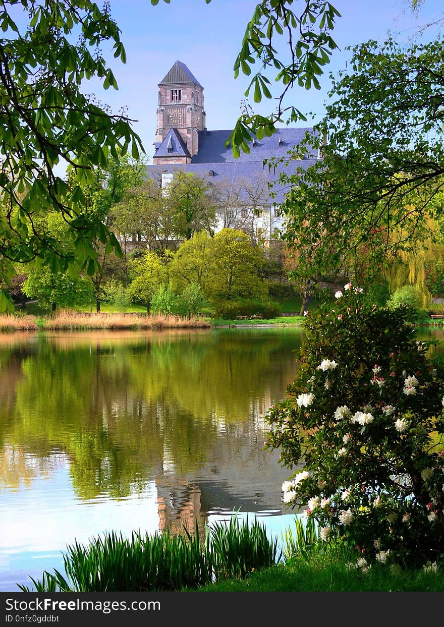 Reflection, Water, Nature, Green