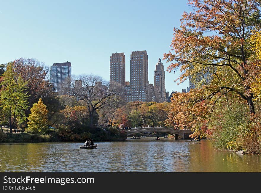 Waterway, Leaf, Body Of Water, Water