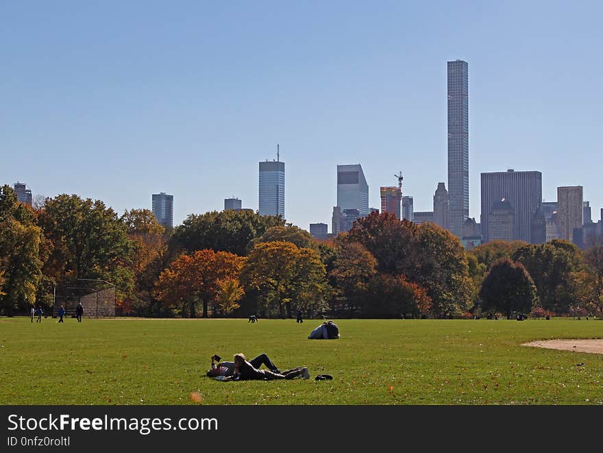 Skyline, City, Daytime, Urban Area