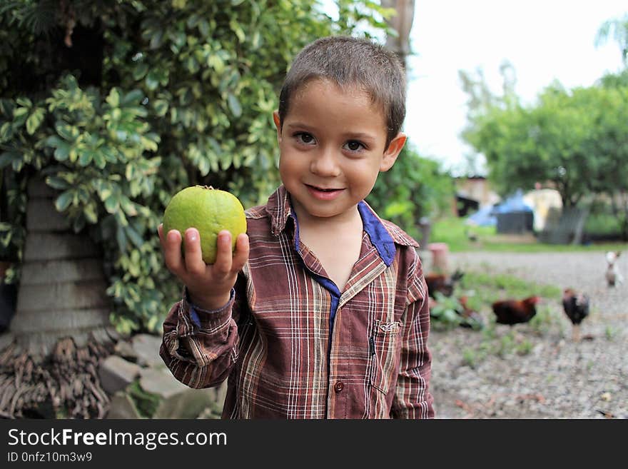 Child, Vertebrate, Tree, Boy