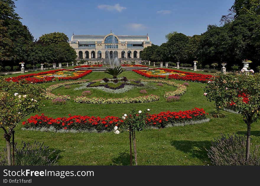 Garden, Nature, Botanical Garden, Plant