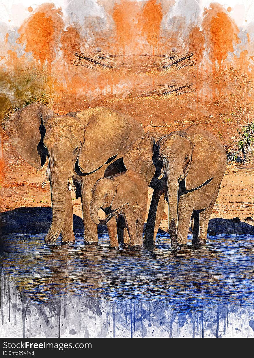 Elephants And Mammoths, Mammal, Elephant, Reflection