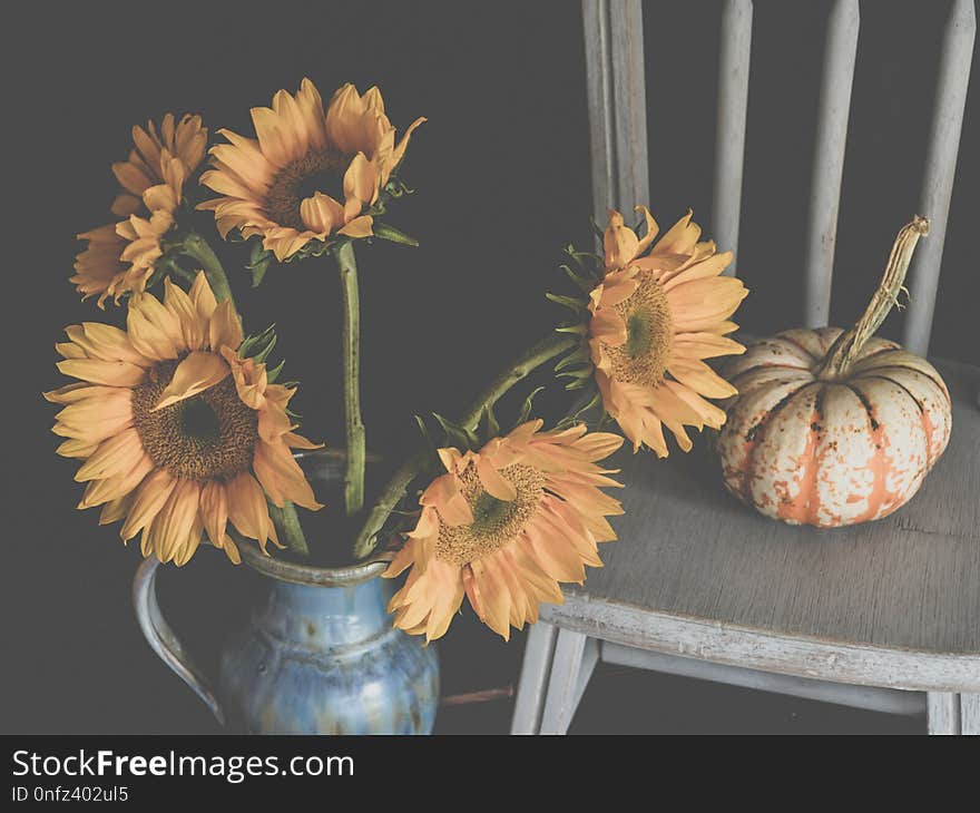 Flower, Still Life, Still Life Photography, Gerbera