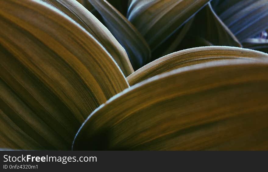 Close Up, Metal, Material, Macro Photography