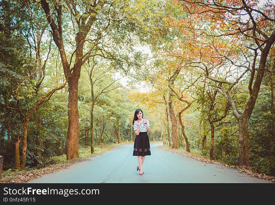 Photograph, Nature, Tree, Path