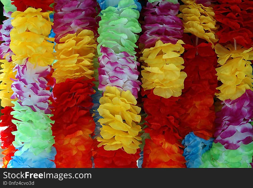 Petal, Lei, Cut Flowers, Flower