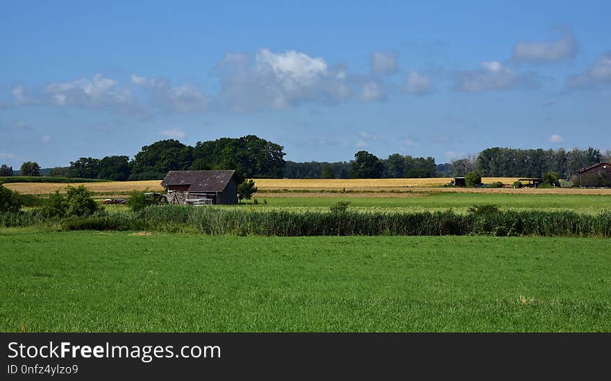 Grassland, Field, Pasture, Sky