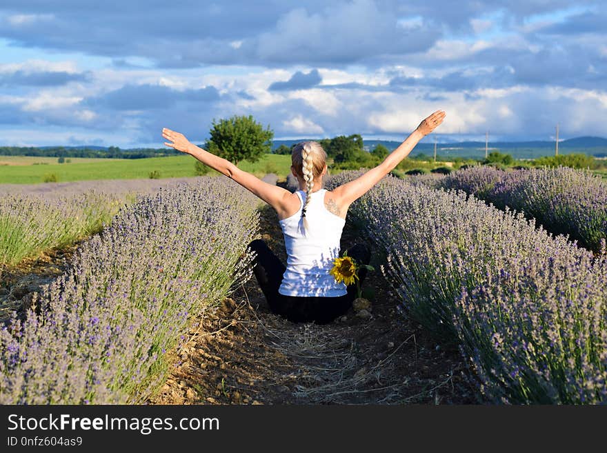 Field, Plant, Crop, Grass Family