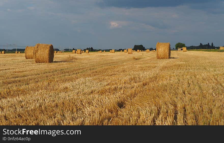 Hay, Field, Straw, Agriculture