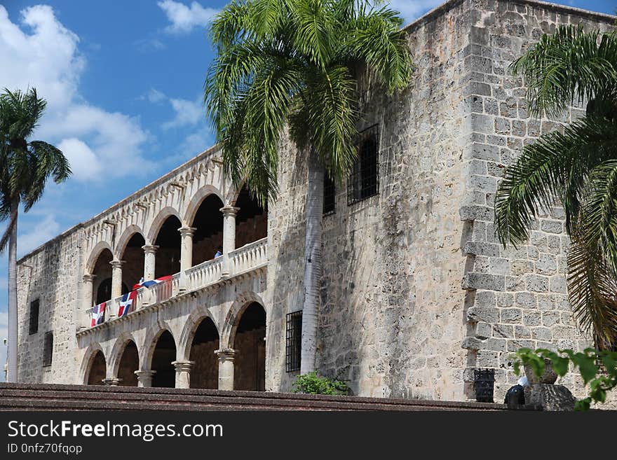 Arecales, Palm Tree, Historic Site, Building