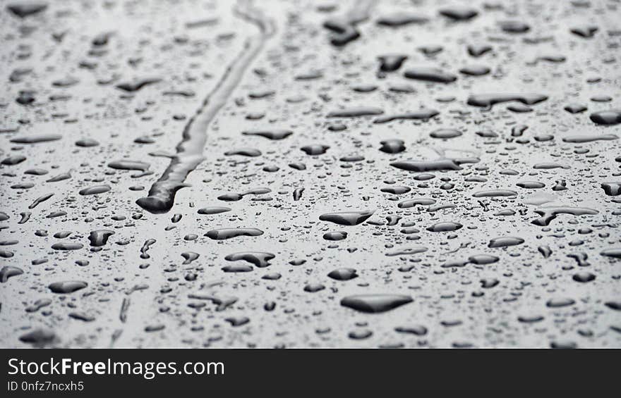 Black And White, Water, Monochrome Photography, Monochrome