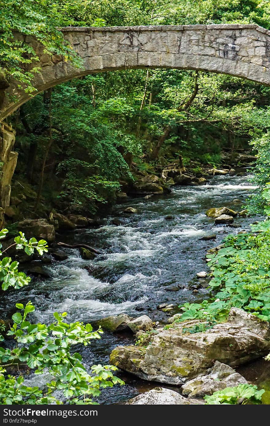 Nature, Stream, Water, Watercourse