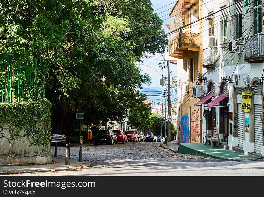 Neighbourhood, Town, Street, Tree