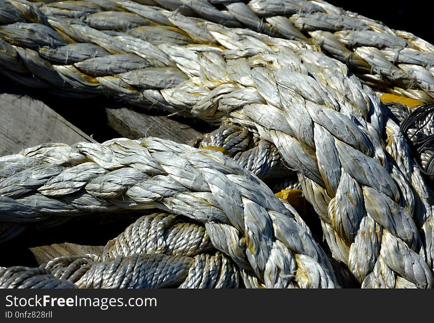 Rope, Close Up, Beak