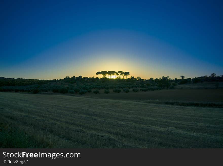 Sky, Field, Horizon, Dawn