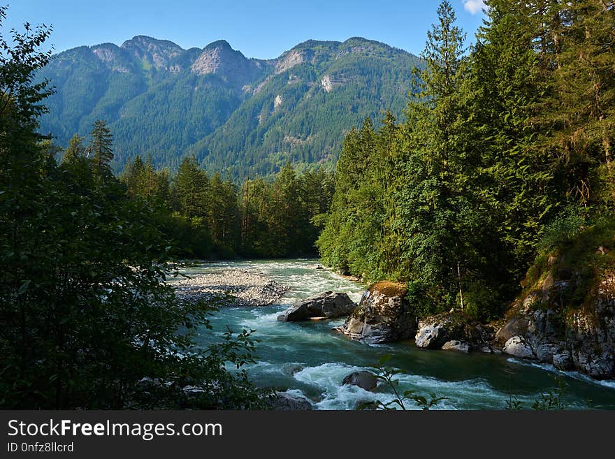 Water, Nature, River, Wilderness