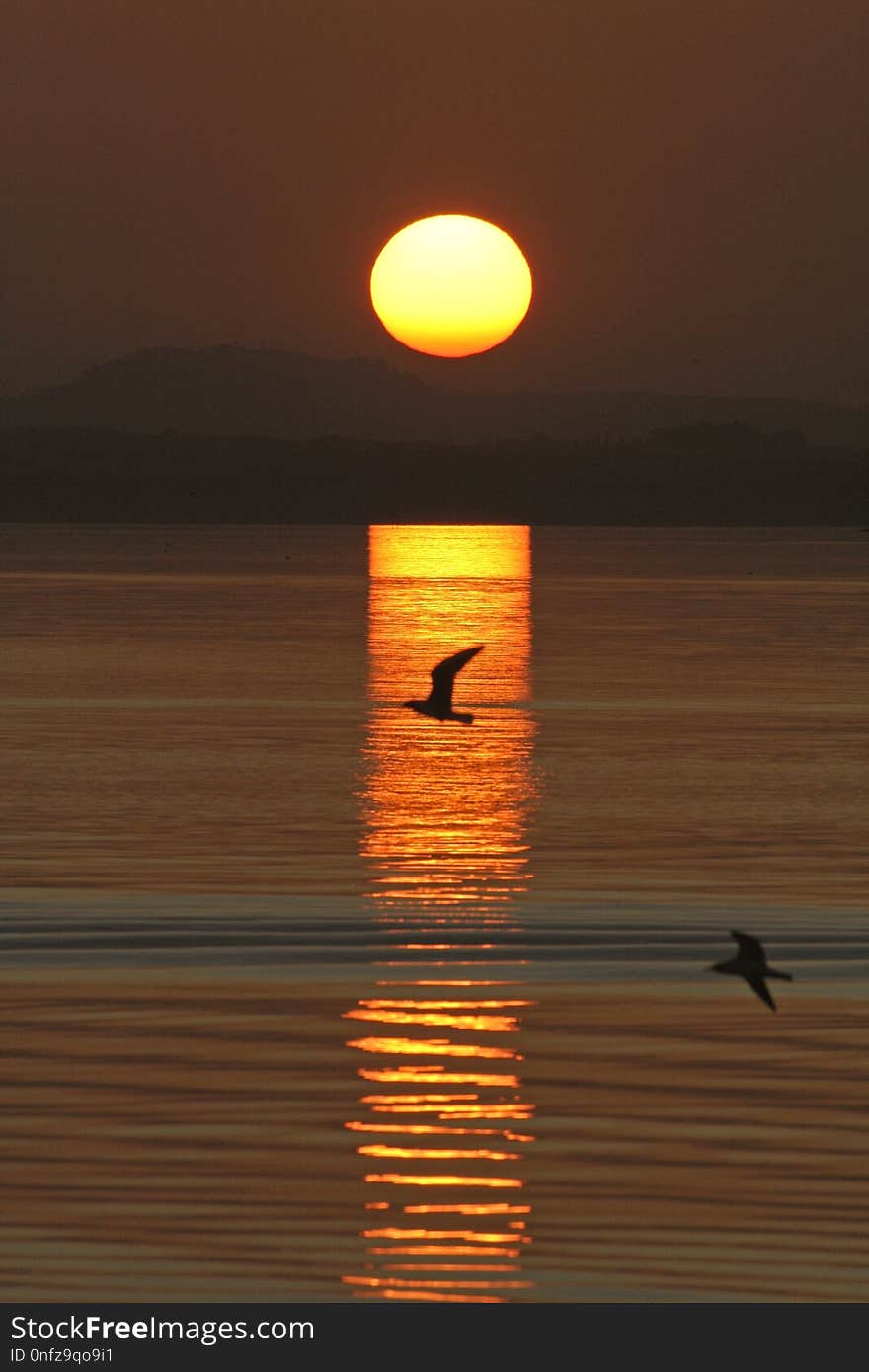 Reflection, Sunrise, Sun, Calm