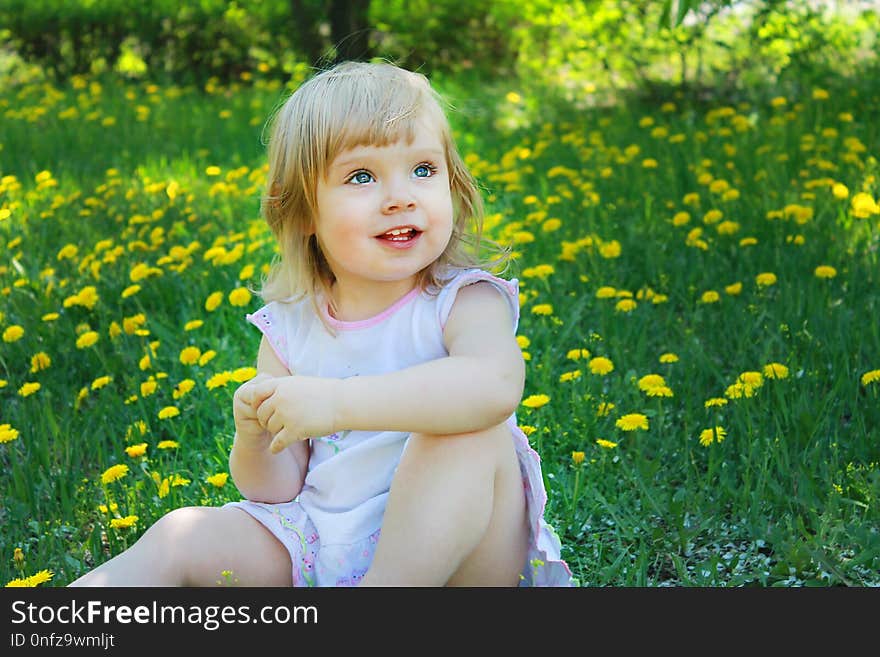 Hair, Photograph, Flower, Nature