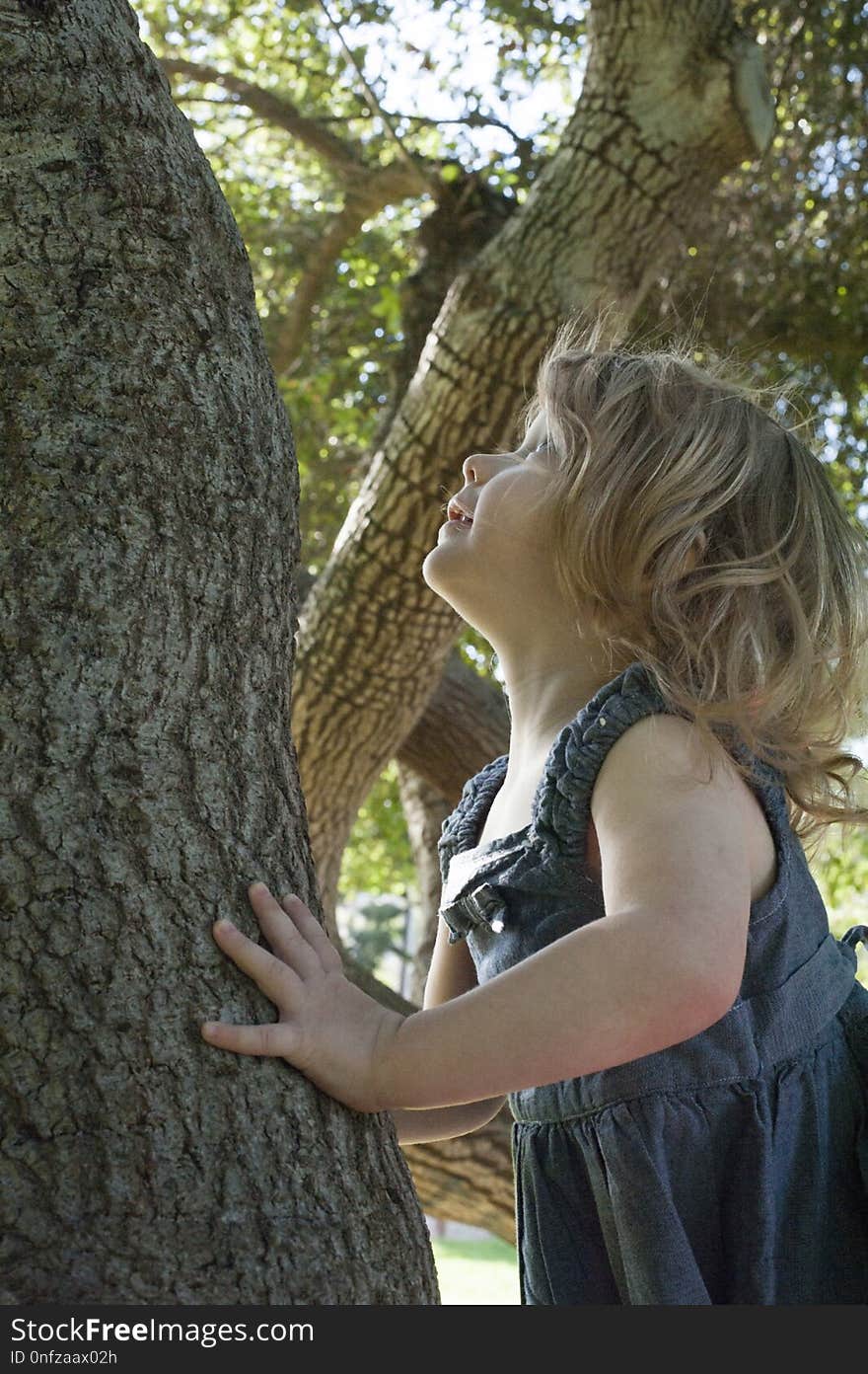 Tree, Woody Plant, Girl, Plant