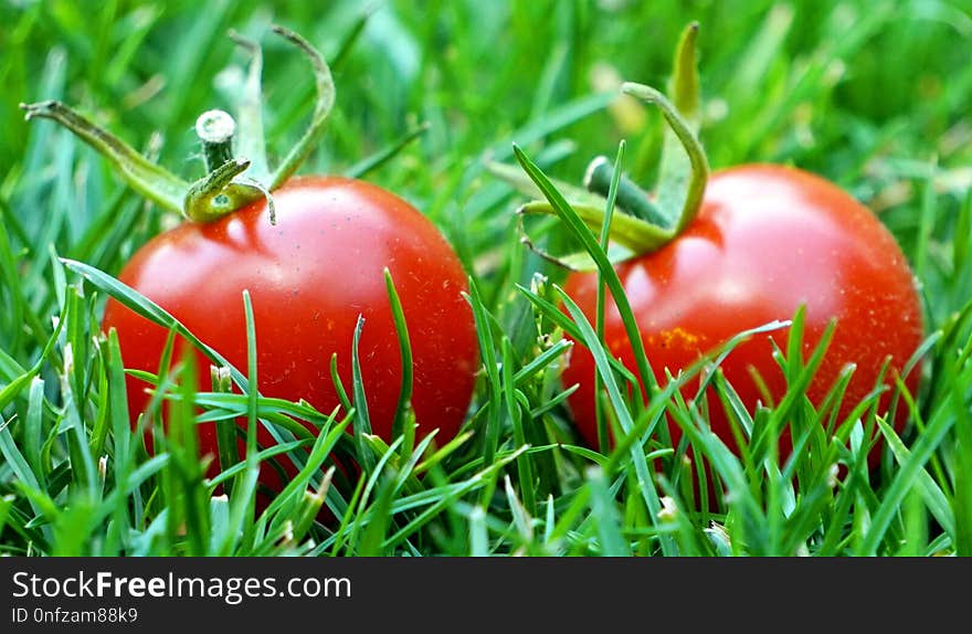 Natural Foods, Local Food, Fruit, Grass