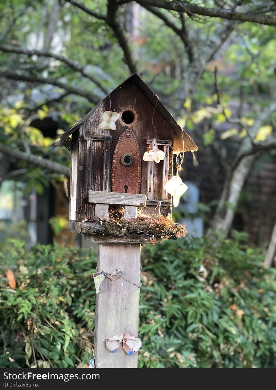 Bird Feeder, Tree, House, Wood