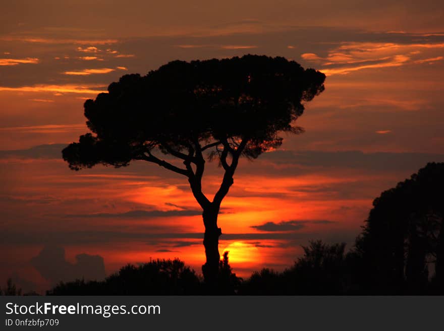 Sky, Afterglow, Sunset, Sunrise