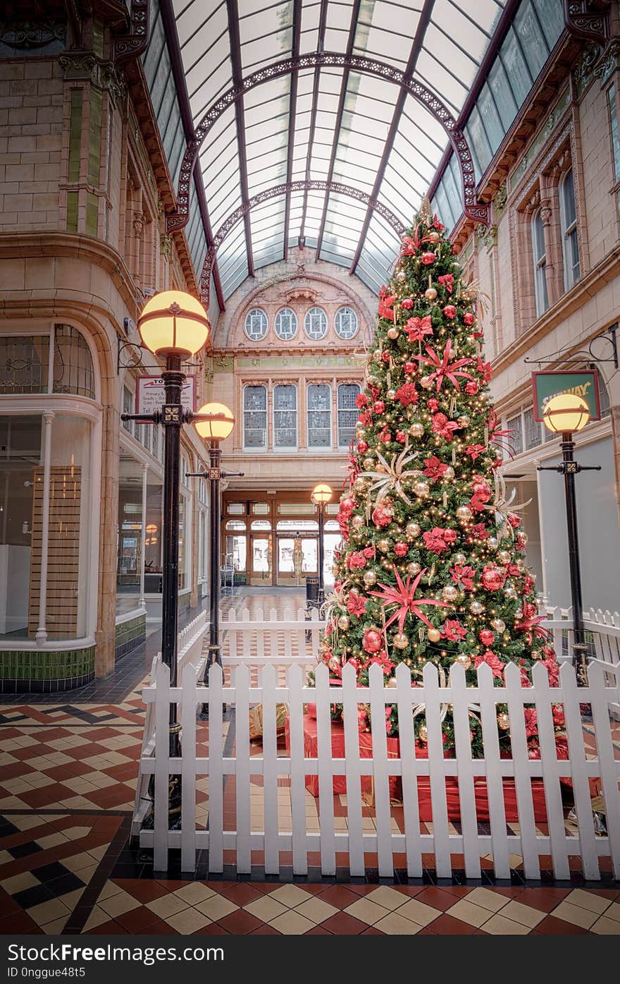 Landmark, Tree, Architecture, Christmas Tree