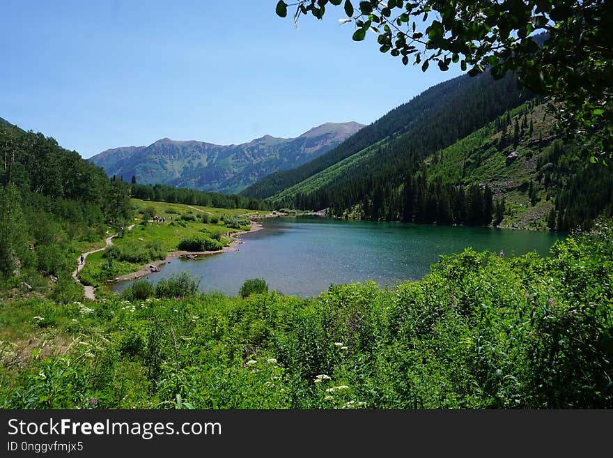 Nature, Nature Reserve, Vegetation, Wilderness