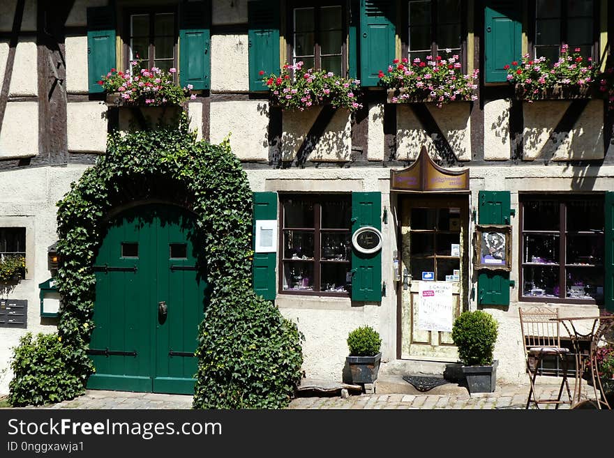 Green, Flower, House, Floristry