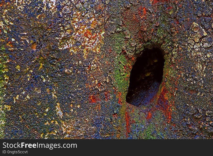 Bird nest on the cavity of a large mango tree with colorful textures on. Bird nest on the cavity of a large mango tree with colorful textures on.