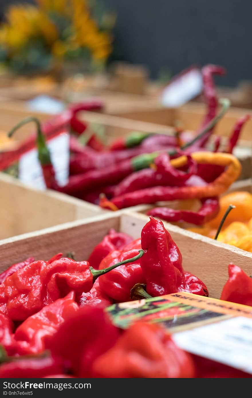 Variety of colourful sweet peppers on sale at Eataly up-scale food market in Turin, Italy.