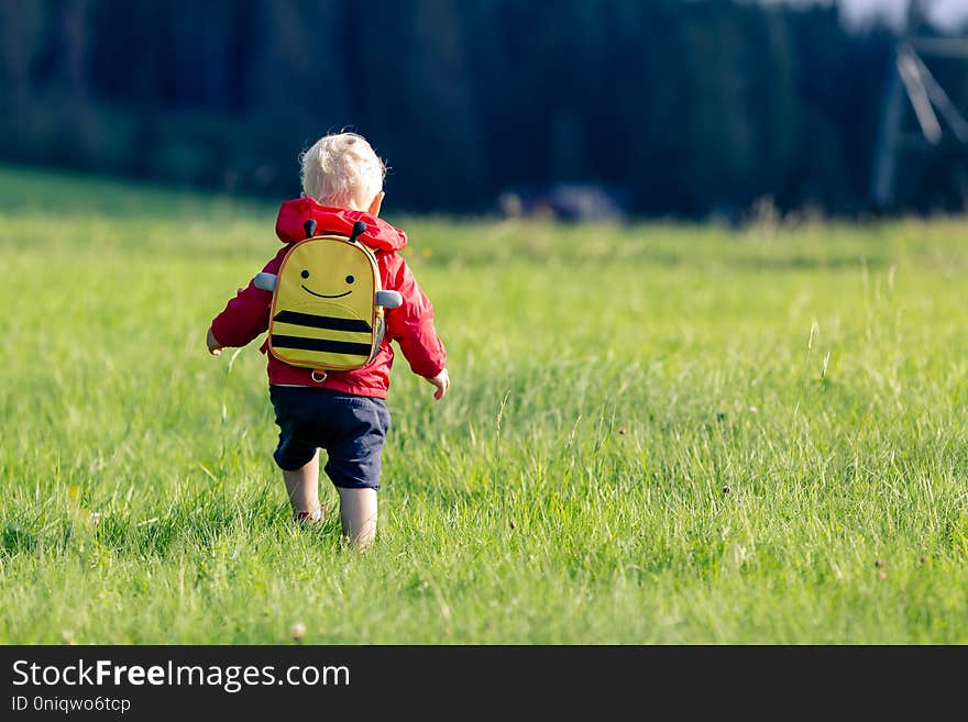 Baby boy hiking with backpack on green meadow