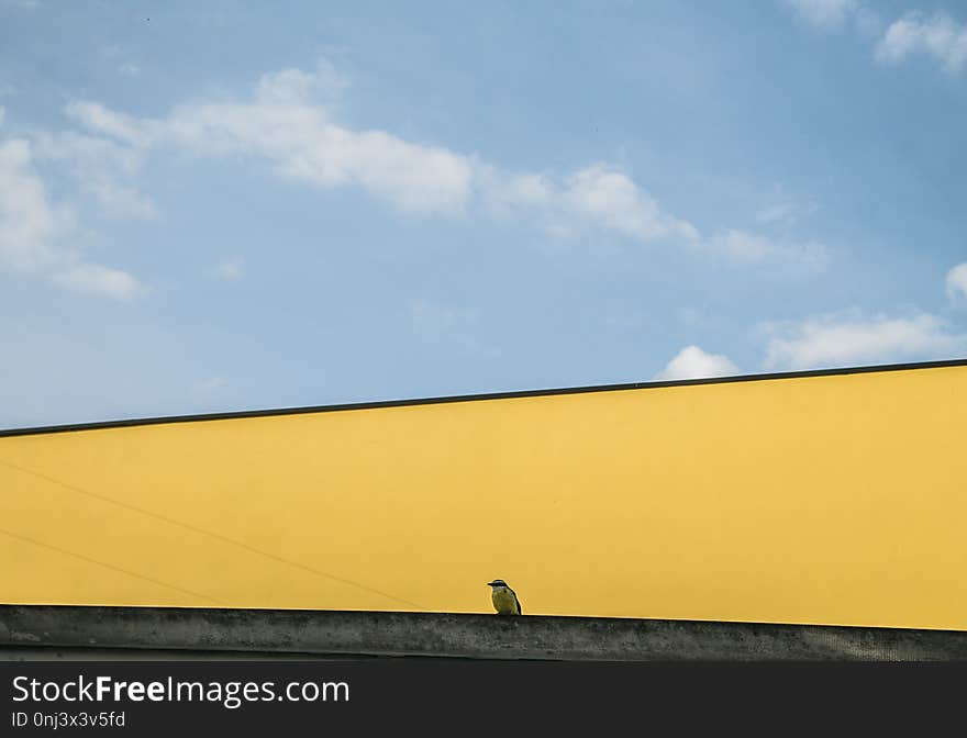 Sky, Yellow, Cloud, Horizon