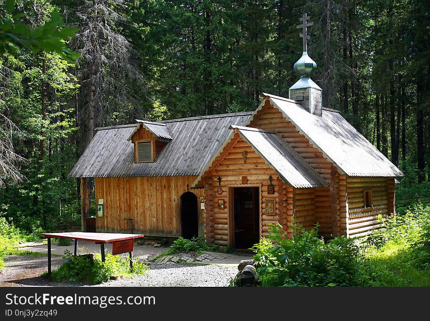 Hut, Log Cabin, Cottage, Tree