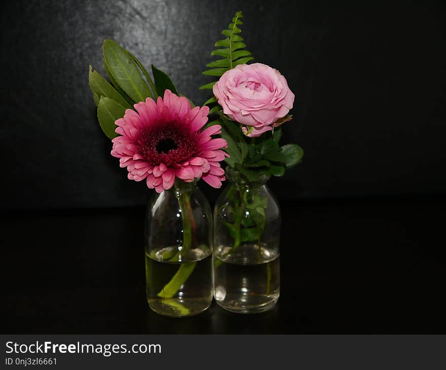 Flower, Vase, Flowering Plant, Cut Flowers