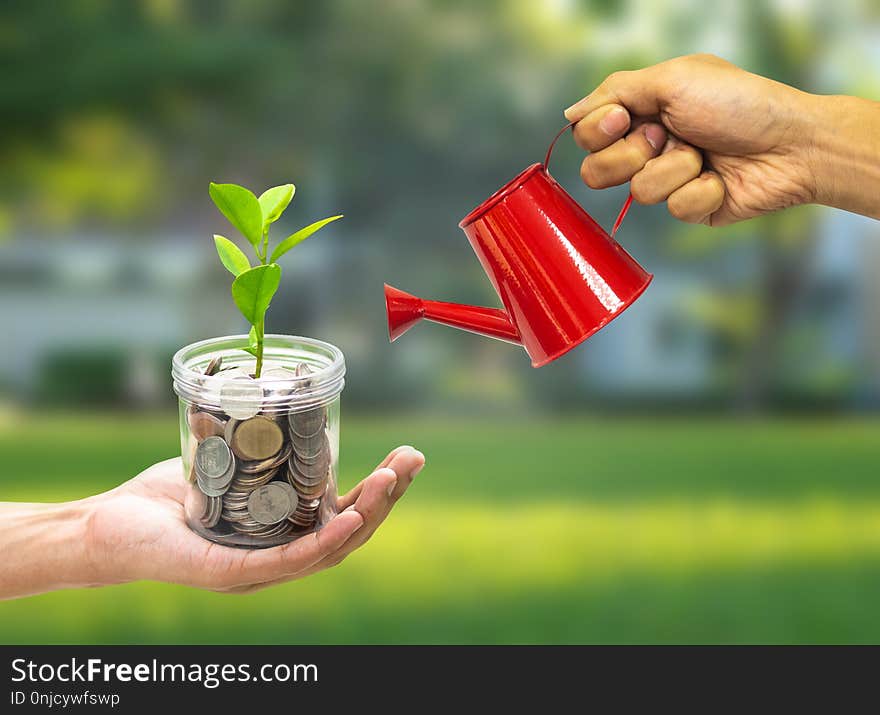 Plant Growing in jar with hand holding watering can - Investment And Interest Concept